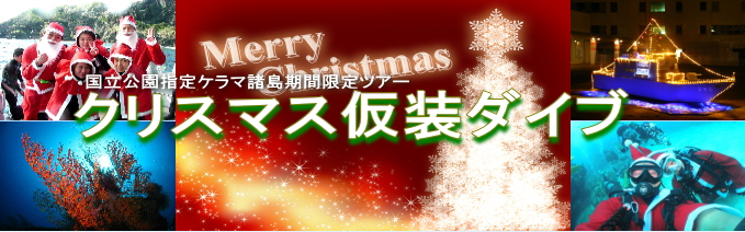 沖縄クリスマスダイブ画像
