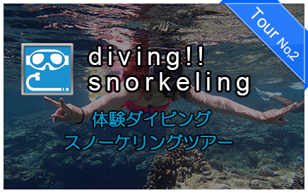 沖縄体験ダイビング画像